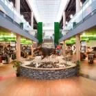 Entreprises 6 image MAGASIN LATULIPPE Sports & Recreation dans Québec QC