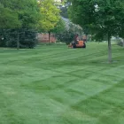 Entreprises 2 image MAGIC MIKE'S YARD CARE SERVICES Real Estate & Home Improvement dans Edmonton AB