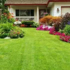 Entreprises 4 image MAGIC MIKE'S YARD CARE SERVICES Real Estate & Home Improvement dans Edmonton AB