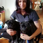 Entreprises 3 image MAID 4 CLEANING INC. House Cleaning Services dans Mississauga ON