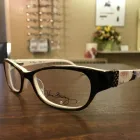 Entreprises 1 image MAIN OPTICAL Ophthalmologists, Optometrists & Opticians dans Hamilton ON