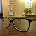 Entreprises 2 image MAIN OPTICAL Ophthalmologists, Optometrists & Opticians dans Hamilton ON