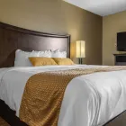 Business 25 image MAINSTAY SUITES WINNIPEG travel & tourism in Winnipeg MB