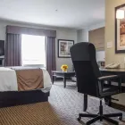 Business 31 image MAINSTAY SUITES WINNIPEG travel & tourism in Winnipeg MB