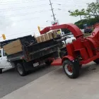 Entreprises 2 image MAJESTIC MAPLE TREE SERVICE & PROPERTY MAINTENANCE Tree Work & Forestry Services dans Etobicoke ON