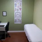 Business 2 image MAPLE ACUPUNCTURE & WELLNESS Health & Medicine in Maple ON
