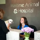 Entreprises 6 image MARITIME ANIMAL HOSPITAL Veterinarians dans Moncton NB