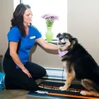 Entreprises 8 image MARITIME ANIMAL HOSPITAL Veterinarians dans Moncton NB