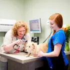 Entreprises 9 image MARITIME ANIMAL HOSPITAL Veterinarians dans Moncton NB