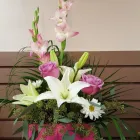 Business 4 image MARQUIS FLOWER SHOP Shopping in Lethbridge AB