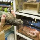 Entreprises 3 image MARTA'S PET AND AQUARIA Shopping dans York ON