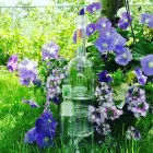 Entreprises 3 image MARY JANE'S HEADQUARTERS Vape Shops dans Kelowna BC