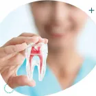 Entreprises 2 image MAXILLA DENTAL Dentists dans North York ON