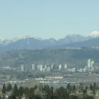 Business 1 image MCQUARRIE Legal & Financial Services in Surrey BC