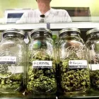 Entreprises 4 image MID-ISLAND HEALTH & WELLNESS ASSOCIATION dans Nanaimo BC