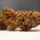 Entreprises 1 image MID-ISLAND HEALTH & WELLNESS ASSOCIATION dans Nanaimo BC