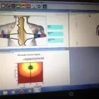 Entreprises 4 image MINORU CHIROPRACTIC Health & Medicine dans Richmond BC