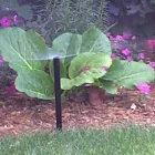 Business 2 image MIST IRRIGATION INC Real Estate & Home Improvement in North York ON