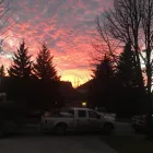 Entreprises 1 image MITCHEL'S ALL SEASON Tree Work & Forestry Services dans Winnipeg MB