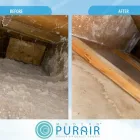 Business 2 image MODERN PURAIR OTTAWA Real Estate & Home Improvement in Ottawa ON
