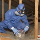 Business 1 image MOLD BUSTERS GATINEAU Real Estate & Home Improvement in Gatineau QC