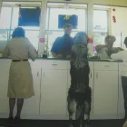 Business 3 image MONEY TREE PAYDAY LOANS Loan Agencies in Winnipeg MB