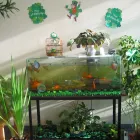 Business 5 image MONEY TREE PAYDAY LOANS Loan Agencies in Winnipeg MB