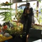 Business 6 image MONEY TREE PAYDAY LOANS Loan Agencies in Winnipeg MB