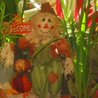 Business 7 image MONEY TREE PAYDAY LOANS Loan Agencies in Winnipeg MB