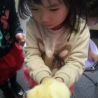 Business 6 image MONTESSORI EDUCATION CENTRE LTD. Day Centres in East York ON