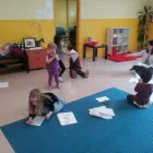 Business 1 image MONTESSORI EDUCATION CENTRE LTD. Day Centres in East York ON