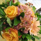 Business 1 image MOOD MOSS FLOWERS Shopping in Ottawa ON
