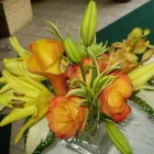 Business 7 image MOOD MOSS FLOWERS Shopping in Ottawa ON