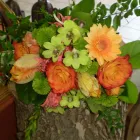 Business 9 image MOOD MOSS FLOWERS Shopping in Ottawa ON