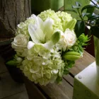 Business 10 image MOOD MOSS FLOWERS Shopping in Ottawa ON