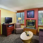 Business 1 image MOUNTAINSIDE LODGE travel & tourism in Whistler BC