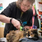 Business 3 image MUDDY PAWS PET FOOD & GROOMING SALON Pet Grooming Services in Scarborough ON