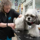 Business 5 image MUDDY PAWS PET FOOD & GROOMING SALON Pet Grooming Services in Scarborough ON