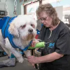 Business 8 image MUDDY PAWS PET FOOD & GROOMING SALON Pet Grooming Services in Scarborough ON