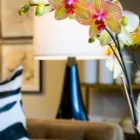 Business 6 image MULBERRY INTERIORS Soft Furnishings in Oakville ON