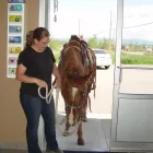 Entreprises 8 image MURDOCH VETERINARY CLINIC Veterinarians dans Prince George BC