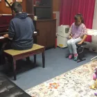 Business 6 image MUSIC 4 YOU AND 4 ME Shopping in East York ON