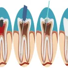 Business 2 image MY DENTAL HOME, DR. KEVIN BROWN & ASSOCIATES Dentists & Dental Clinics in Unionville ON