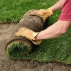 Business 7 image MY HEALTHY LAWN .CA Real Estate & Home Improvement in Mississauga ON