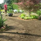 Business 10 image MY HEALTHY LAWN .CA Real Estate & Home Improvement in Mississauga ON