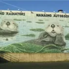 Business 1 image NANAIMO AUTOBODY & GLASS LTD Car Body Repairs in Nanaimo BC