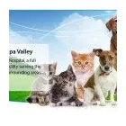 Entreprises 5 image NAPA VALLEY ANIMAL HOSPITAL Veterinarians dans Woodbridge ON