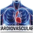 Entreprises 17 image NARDINI NATUROPATHIC Naturopaths dans Toronto ON