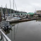 Business 21 image NEWCASTLE MARINA HOLDINGS LTD Marinas & Moorings in Nanaimo BC