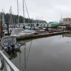 Business 2 image NEWCASTLE MARINA HOLDINGS LTD Marinas & Moorings in Nanaimo BC